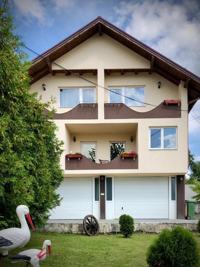 Casa Paunescu Milostea Eksteriør billede