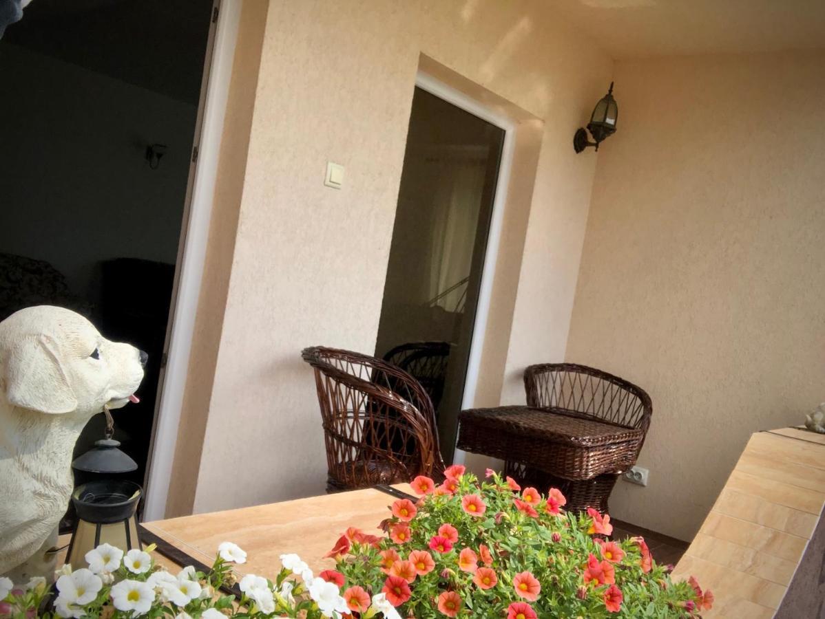 Casa Paunescu Milostea Eksteriør billede